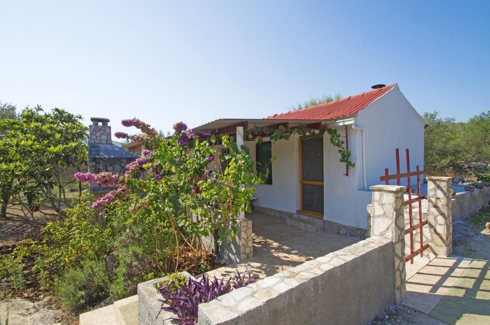 House Senka1